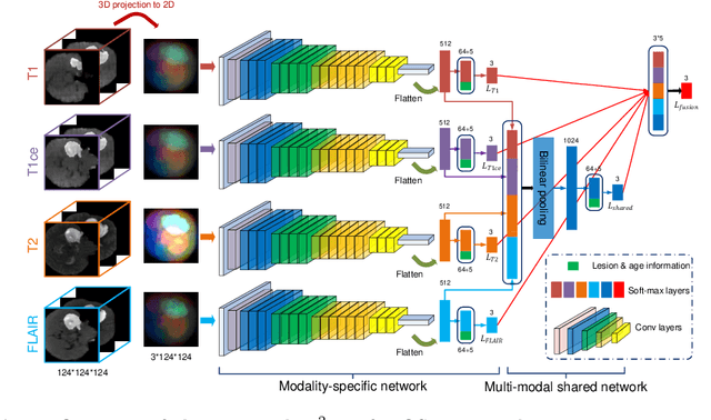 Figure 3 for M2Net: Multi-modal Multi-channel Network for Overall Survival Time Prediction of Brain Tumor Patients